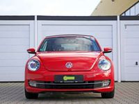 gebraucht VW Beetle Cabriolet Design DSG Xenon Leder Sitzhzg.