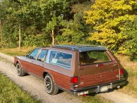 Gebraucht Oldsmobile Custom Cruiser 141 PS (103 kW) 1989 Beige Kombi