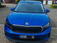 Gebraucht Skoda Enyaq iV 150 kW (204 PS) 2023 Blau SUV