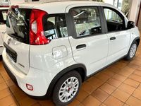 Gebraucht Fiat Panda 69 PS (50 kW) 2023 Weiß Kleinwagen