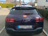 Gebraucht Citroën C4 Cactus Shine 136 PS (100 kW) 2018 Violet Kleinwagen