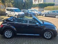 gebraucht VW Beetle Cabriolet Design BMT/Navi Touch/EL. Dach