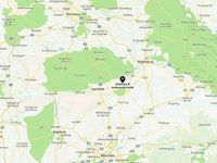 Gebraucht Citroën C4 Feel 110 PS (80 kW) 2019 Weiß Limousine