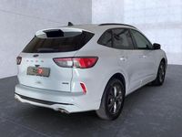 Gebraucht Ford Kuga ST-Line X 224 PS (164 kW) 2022 Frostweiß (metallic) SUV