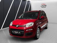 Gebraucht Fiat Panda 86 PS (63 kW) 2012 Rot Kleinwagen