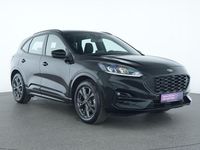 Gebraucht Ford Kuga ST-Line 152 PS (111 kW) 2023 Obsidian schwarz SUV