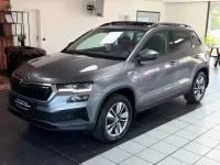 Gebraucht Skoda Karoq Tour 150 PS (110 kW) 2023 Grau SUV