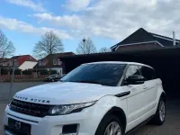 Gebraucht Land Rover Range Rover evoque 190 PS (139 kW) 2013 Weiß SUV