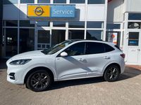 Gebraucht Ford Kuga ST-Line 152 PS (111 kW) 2024 Weiß SUV