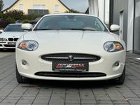 gebraucht Jaguar XK 4.2L V8 Coupé aus 1.Hand + tolle Farbkombi!!