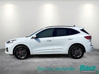 Gebraucht Ford Kuga ST-Line X 224 PS (164 kW) 2022 Weiß SUV