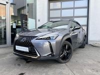 Gebraucht Lexus UX 250h 184 PS (135 kW) 2022 Grau SUV