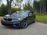 Gebraucht BMW 220 M Sport 184 PS (135 kW) 2015 Silber Cabrio