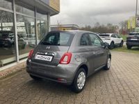 Gebraucht Fiat 500 69 PS (50 kW) 2023 Grau Kleinwagen