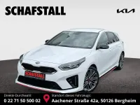 Gebraucht Kia Ceed GT GT 204 PS (150 kW) 2019 Deluxeweiss met. Limousine