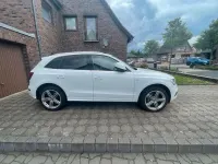 Gebraucht Audi SQ5 Ambiente 245 PS (180 kW) 2013 Weiß SUV
