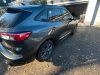 Gebraucht Ford Kuga ST-Line 120 PS (88 kW) 2023 Grau SUV