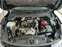 Usata Ford Focus ST-Line 116 CV (85 kW) 2023 Nero Berlina