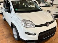 Gebraucht Fiat Panda 69 PS (50 kW) 2023 Weiß Kleinwagen
