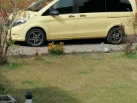 Gebraucht Mercedes Vito 198 PS (145 kW) 2016 Gelb Van