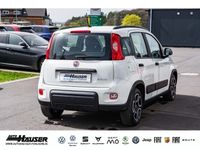 gebraucht Fiat Panda City Life 1.0 Mild Hybrid PDC DAB+