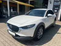 Gebraucht Mazda CX-30 122 PS (89 kW) 2021 Weiß SUV