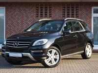 Gebraucht Mercedes ML250 204 PS (150 kW) 2014 Schwarz SUV
