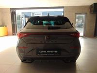 Usata Cupra Leon 150 CV (110 kW) 2023 Grigio Coupé