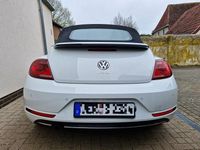Gebraucht VW Beetle Sound 105 PS (77 kW) 2017 Weiß Kleinwagen