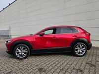 gebraucht Mazda CX-30 Selection 2WD | HUD | ACC | Navi