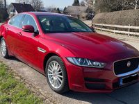 Gebraucht Jaguar XE Portfolio 163 PS (119 kW) 2016 Rot Limousine