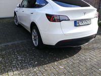 gebraucht Tesla Model Y Model YRWD