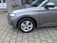 Neu Skoda Scala Selection 116 PS (85 kW) 2025 Grau Kleinwagen