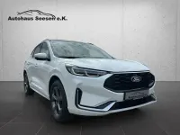 Gebraucht Ford Kuga ST-Line X 186 PS (136 kW) 2024 Frozen white SUV