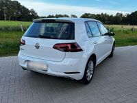 gebraucht VW Golf VII 1,0 TSI OPF, 115 PS, LED-Scheinwerfer