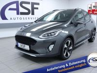 Gebraucht Ford Fiesta Active 95 PS (69 kW) 2021 Grau Kleinwagen