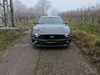 gebraucht Ford Mustang 2.3 EcoBoost Automatik