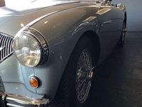 Brugt Austin Healey 100 90 HK (66 kW) 1954 Blå Cabriolet
