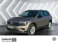 Gebraucht VW Tiguan IQ Drive 150 PS (110 kW) 2019 Beige SUV
