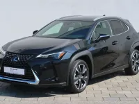 Gebraucht Lexus UX 250h 184 PS (135 kW) 2023 Graphitschwarz metallic SUV