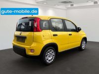 Gebraucht Fiat Panda 69 PS (50 kW) 2024 Gelb Kleinwagen