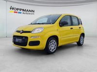 Neu Fiat Panda Icon 69 PS (50 kW) 2026 Gelb Limousine