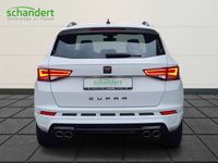 gebraucht Cupra Ateca Basis 2,0 TSI DSG 4x4 LED Navi ACC Klimaautomati, Gebrauchtwagen bei Autohaus Schandert GmbH