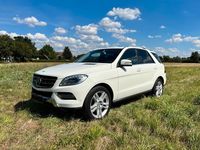 Gebraucht Mercedes ML350 258 PS (189 kW) 2013 Weiß SUV