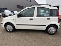 Gebraucht Fiat Panda Active 69 PS (50 kW) 2011 Weiß Kleinwagen