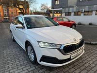 Gebraucht Skoda Octavia 116 PS (85 kW) 2022 Weiß Kombi