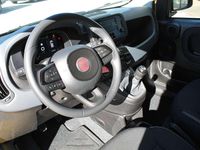 Neu Fiat Panda Icon 65 PS (47 kW) 2026 Positano gelb Kleinwagen