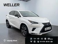 Gebraucht Lexus NX300h 197 PS (144 kW) 2021 Titaniumweiß SUV