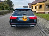 Gebraucht Mercedes E220 194 PS (142 kW) 2016 Grün Kombi