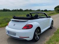 Gebraucht VW Beetle Sound 105 PS (77 kW) 2018 Weiß Kleinwagen